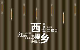 西乡打卡点