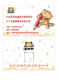 猫咪宠物名片
