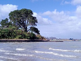 奥克兰海边风景