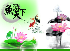 荷花 鱼
