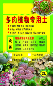 多肉植物  