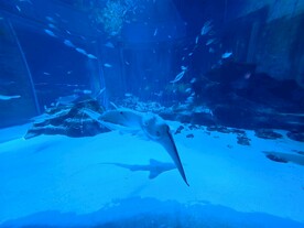海底世界