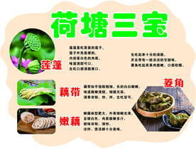荷塘三宝