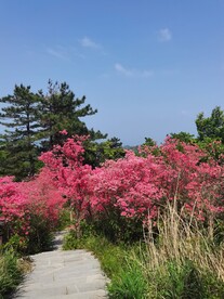 一片红