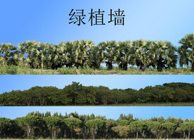 绿植墙