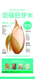 胚芽米 展架