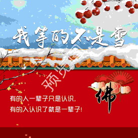 我等的不是雪