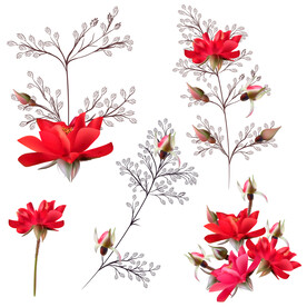 水彩花卉