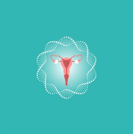 子宫基因DNA