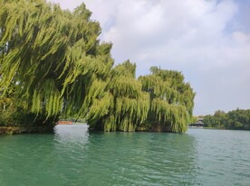 河中岛