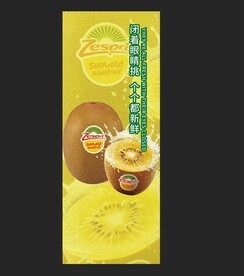 奇异果