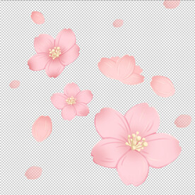 樱花