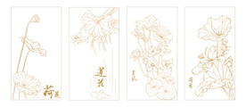 荷花