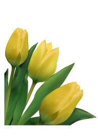 百合花矢量素材
