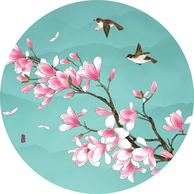 玉兰花鸟