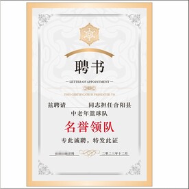 聘书 名誉领队