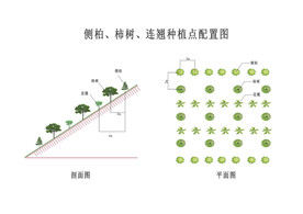 植被平面图