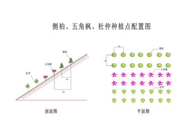 植被位置图