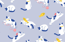 猫咪