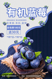 蓝莓海报