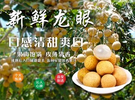 龙眼
