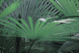 雨后