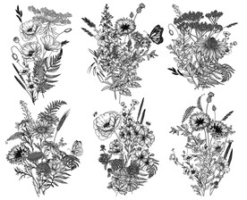 手绘花卉