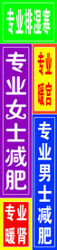 专业女士减肥