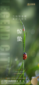 地产惊蛰节气刷屏