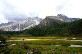 高原湖泊雪山峰峦叠草地黄色小花