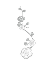 桃花矢量图