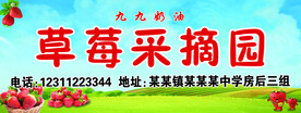 草莓采摘园