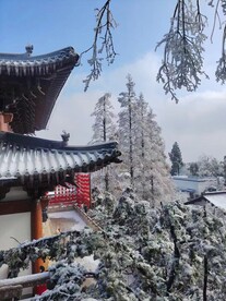户外雪景