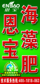 恩宝