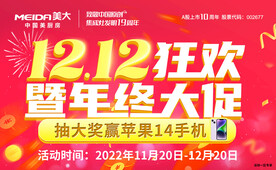 年终大促