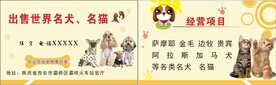 宠物名片