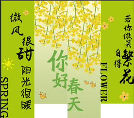三八节活动