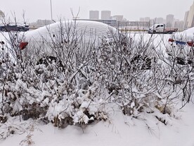 大雪纷飞