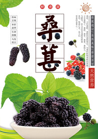 桑葚