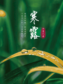 寒露节气