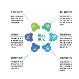 标题类目数据图表图片