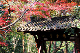 灵隐寺风光