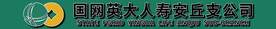 国网英大