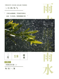 雨水海报