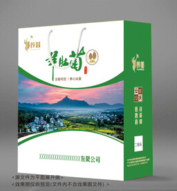 羊肚菌