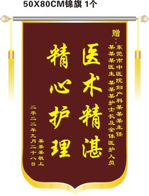 医生医术精湛锦旗