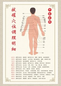 穴位图