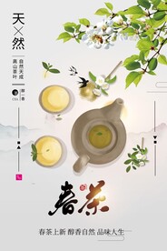 春茶