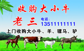 收购牛 名片