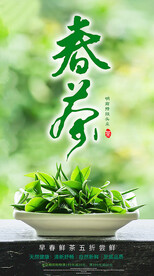 春茶